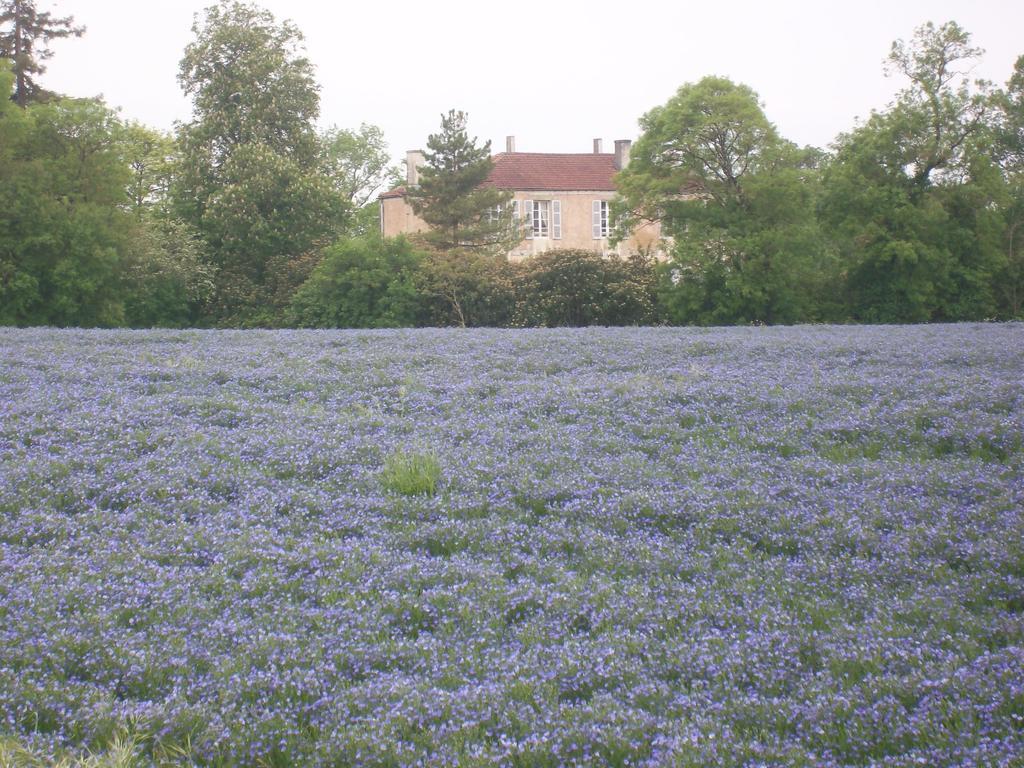 Manoir Angle Panzió Blanzay-sur-Boutonne Kültér fotó